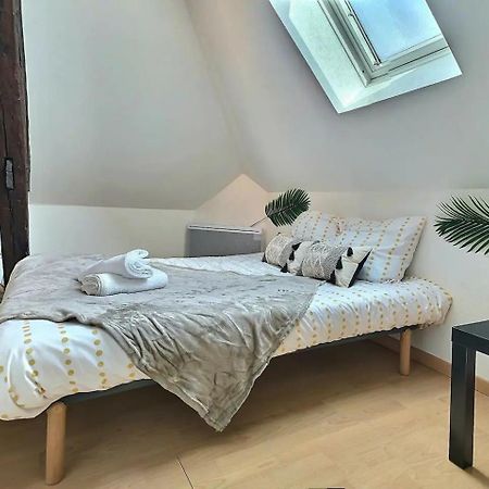 Le Travel - Appartement Equipe Proche Centre Et Yschools Troyes Eksteriør bilde